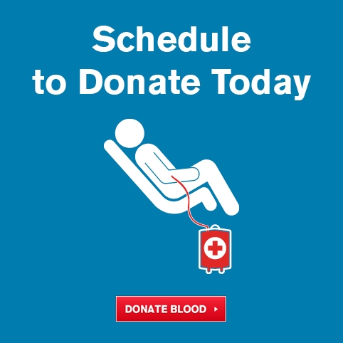 Schedule a Blood Donation